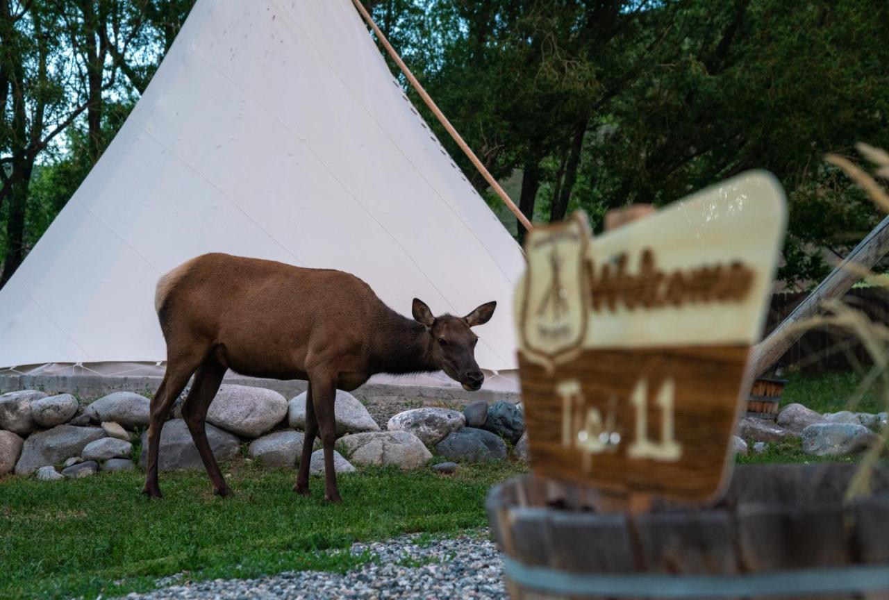 Dreamcatcher Tipi Hotel Gardiner Eksteriør bilde