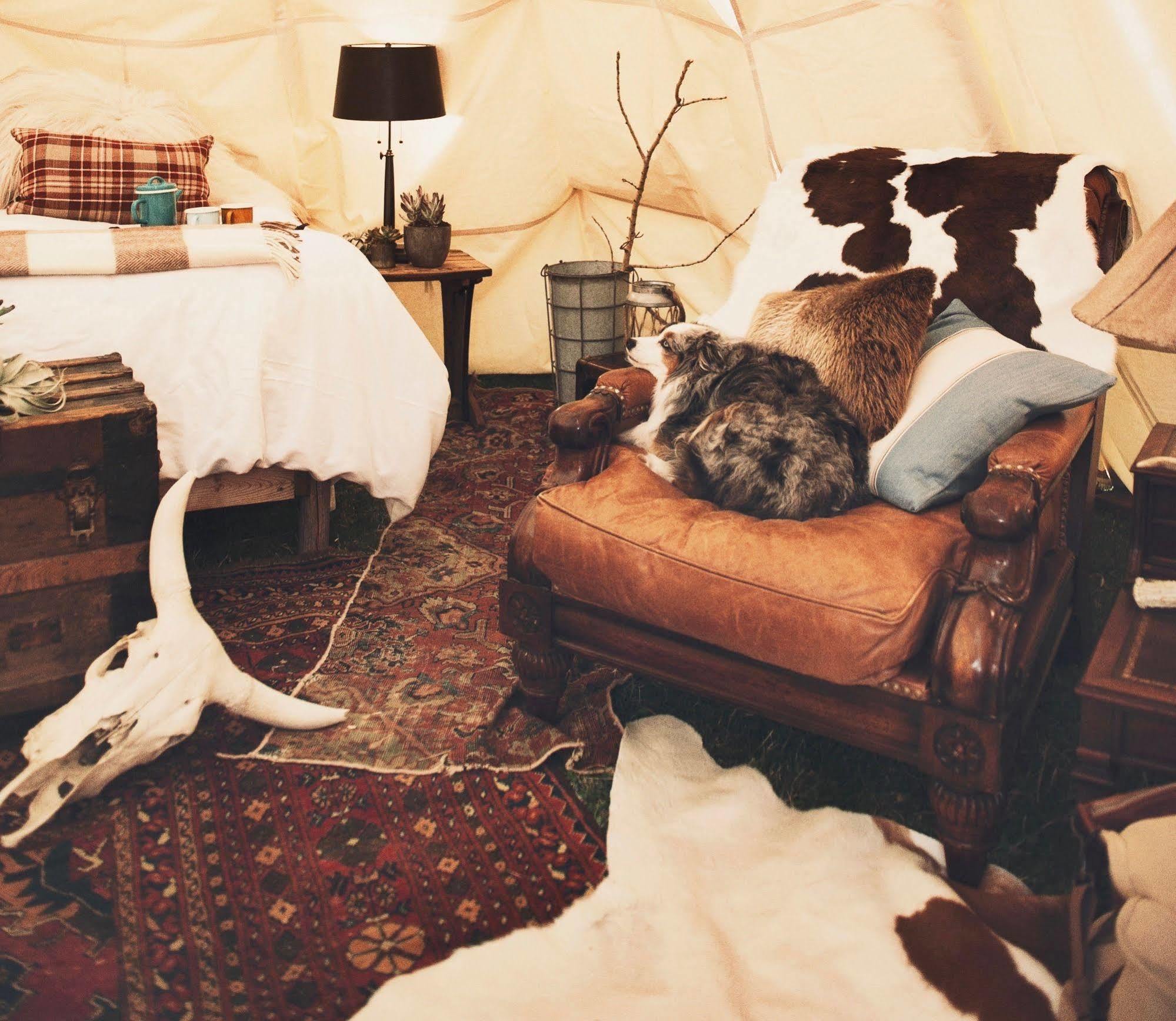 Dreamcatcher Tipi Hotel Gardiner Eksteriør bilde